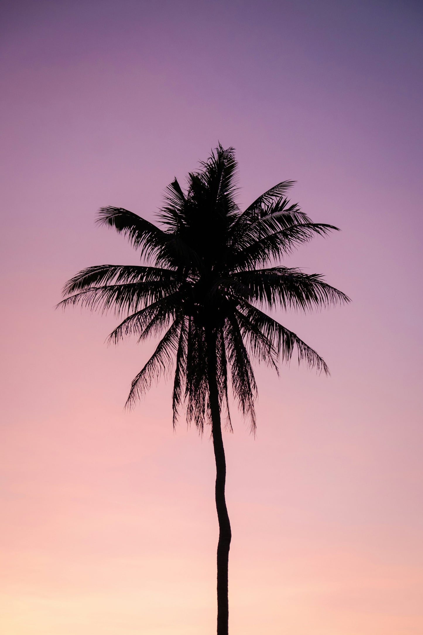 eight_nine