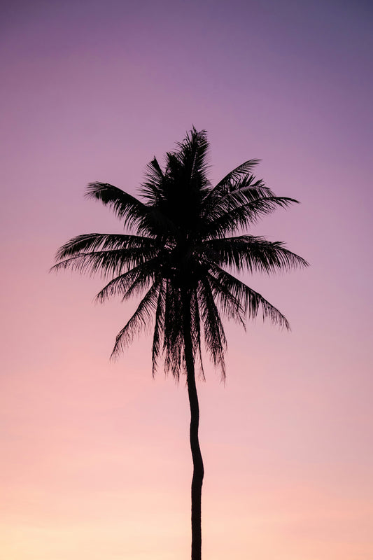 eight_nine
