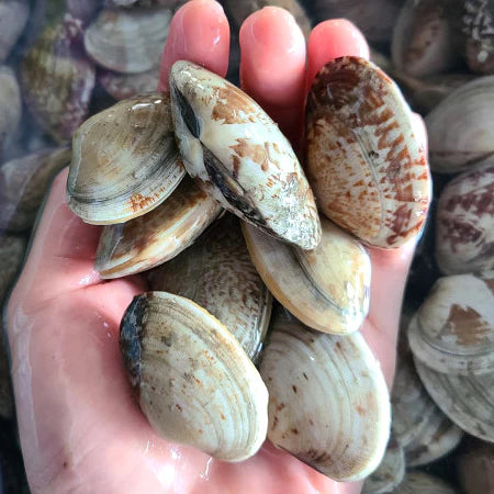 EC_99_84_EB_8F_84-_EB_B0_94_EC_A7_80_EB_9D_BD_EC_82_B4-_-_EC_8D_B8-3.723a0171674c6361a83c6a4d85c8e0ef.7f5352aad4ee08fd5962d0407a8b9ee5_26e7ce50-396f-4645-8149-99abe743486a